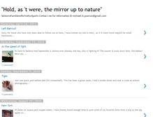 Tablet Screenshot of michaelpearsonphotography.blogspot.com
