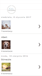 Mobile Screenshot of nieobiektywnie-elle.blogspot.com