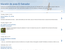 Tablet Screenshot of maraton-de-aves-el-salvador.blogspot.com