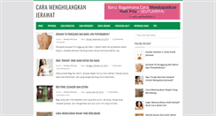 Desktop Screenshot of menghilangkan-jerawat-alami.blogspot.com