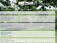 Tablet Screenshot of mpafirsteleven.blogspot.com