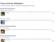 Tablet Screenshot of funnyanimals90.blogspot.com