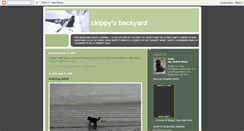 Desktop Screenshot of carletonpond.blogspot.com