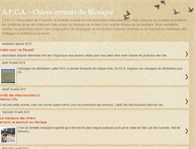 Tablet Screenshot of apcachienserrantsdumexique.blogspot.com