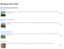 Tablet Screenshot of birdingwithtrish.blogspot.com
