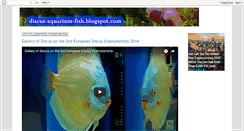 Desktop Screenshot of discus-aquarium-fish.blogspot.com