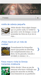 Mobile Screenshot of fotosmacro.blogspot.com
