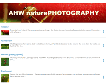 Tablet Screenshot of ahwanphotography.blogspot.com