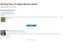 Tablet Screenshot of birdersofborneo.blogspot.com