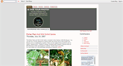 Desktop Screenshot of catcityblog.blogspot.com