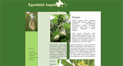 Desktop Screenshot of egzotiniaiaugalai.blogspot.com