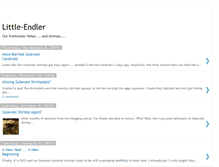 Tablet Screenshot of little-endler.blogspot.com