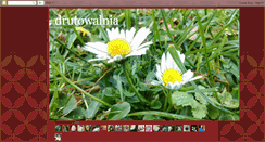Desktop Screenshot of drutowalniaanust.blogspot.com