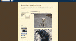 Desktop Screenshot of kelseylabradors.blogspot.com