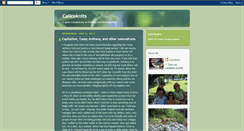 Desktop Screenshot of calicoknits.blogspot.com