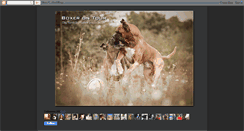 Desktop Screenshot of boxer-on-tour.blogspot.com