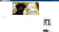 Desktop Screenshot of lifelabstyle.blogspot.com