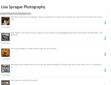 Tablet Screenshot of lisaspraguephotos.blogspot.com