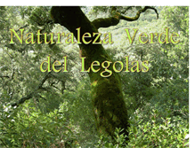 Tablet Screenshot of naturalezaverdedellegolas.blogspot.com