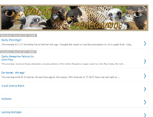 Tablet Screenshot of falcoperegrinus-froona.blogspot.com