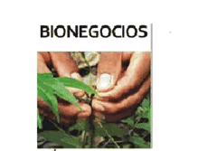 Tablet Screenshot of bionegociosyretosmundiales.blogspot.com