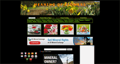 Desktop Screenshot of naaila-meaningofflowers.blogspot.com