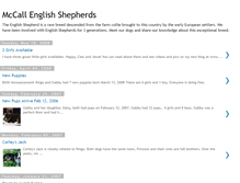 Tablet Screenshot of englishshepherds.blogspot.com