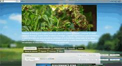 Desktop Screenshot of meliponasdenicaragua.blogspot.com