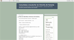 Desktop Screenshot of chinchila-ro.blogspot.com