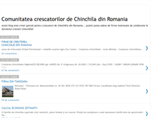 Tablet Screenshot of chinchila-ro.blogspot.com