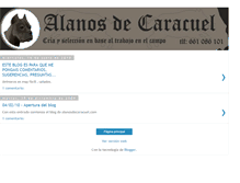 Tablet Screenshot of alanosdecaracuel.blogspot.com