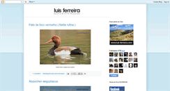 Desktop Screenshot of luisferreirafotografia.blogspot.com