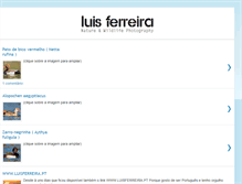Tablet Screenshot of luisferreirafotografia.blogspot.com