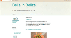 Desktop Screenshot of bellainbelize.blogspot.com