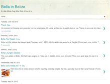 Tablet Screenshot of bellainbelize.blogspot.com