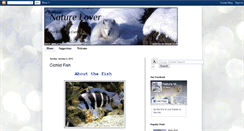 Desktop Screenshot of fish4fishlovers.blogspot.com