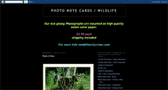 Desktop Screenshot of photonotecards.blogspot.com