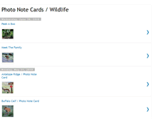 Tablet Screenshot of photonotecards.blogspot.com
