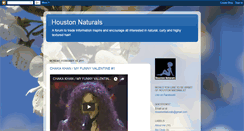 Desktop Screenshot of houstonnaturals.blogspot.com