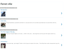 Tablet Screenshot of ferretville.blogspot.com