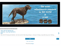 Tablet Screenshot of dog-training-for-dummies2.blogspot.com