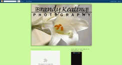 Desktop Screenshot of brandykeatingphotography1.blogspot.com