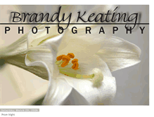 Tablet Screenshot of brandykeatingphotography1.blogspot.com