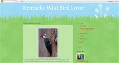 Desktop Screenshot of kywildbirdlover.blogspot.com