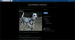 Desktop Screenshot of cachorrospoodle.blogspot.com