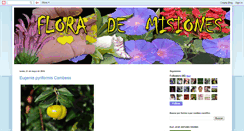 Desktop Screenshot of florademisiones.blogspot.com