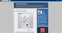 Desktop Screenshot of literallyblindsided.blogspot.com