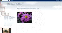 Desktop Screenshot of muslumanozellikleri.blogspot.com