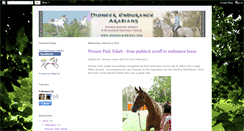 Desktop Screenshot of pioneerendurancearabians.blogspot.com