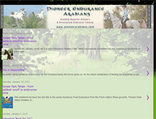 Tablet Screenshot of pioneerendurancearabians.blogspot.com